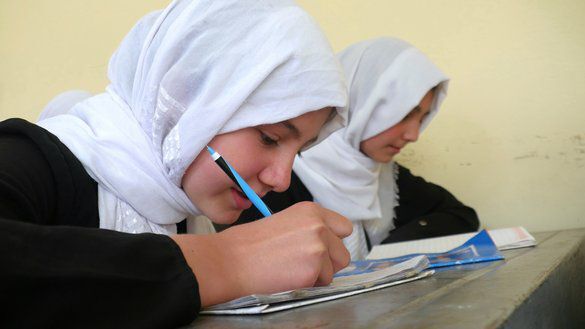 خبرگزاری آریا - سازمان ملل بار دیگر لغو ممنوعیت تحصیل دختران را در افغانستان خواستار شد